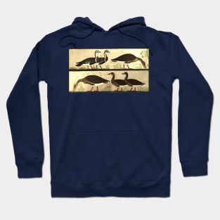 Egyptian geese Hoodie